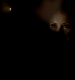TVD_278.JPG