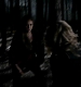 TVD_335.JPG