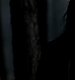 TVD_350.JPG