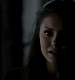 TVD_359.JPG