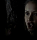 TVD_364.JPG