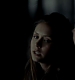 TVD_370.JPG