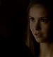 TVD_410.JPG