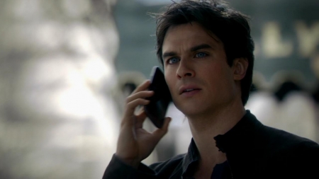 TVD_029.JPG