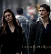 TVD_005.JPG