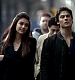 TVD_006.JPG