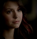 TVD_092.JPG