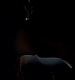 TVD_237.JPG