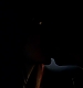 TVD_238.JPG