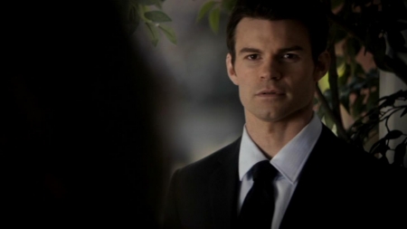 TVD_270.JPG