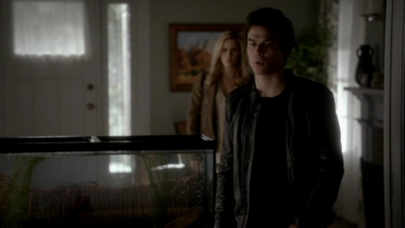 TVD_400.JPG