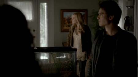 TVD_404.JPG