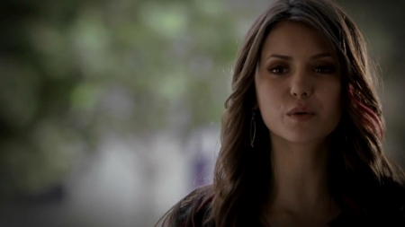 TVD_477.JPG