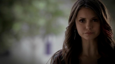 TVD_480.JPG