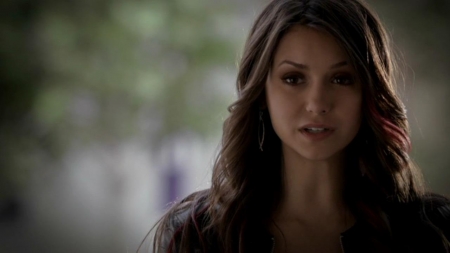 TVD_482.JPG