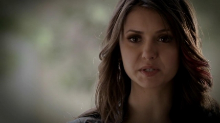 TVD_487.JPG