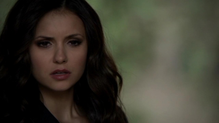 TVD_557.JPG