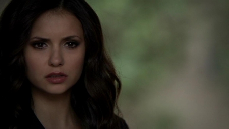 TVD_558.JPG