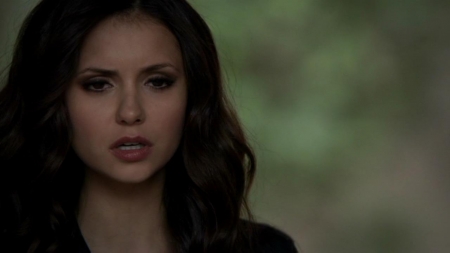 TVD_559.JPG
