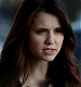 TVD_041.JPG