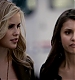 TVD_062.JPG
