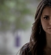 TVD_480.JPG