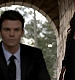 TVD_506.JPG