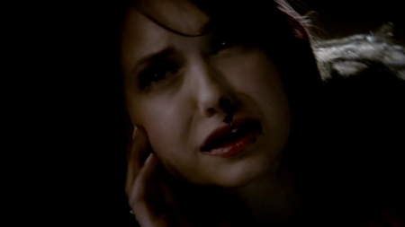 TVD_307.JPG