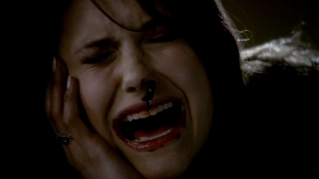 TVD_310.JPG