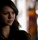 TVD_027.JPG