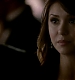 TVD_105.JPG