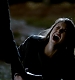 TVD_297.JPG