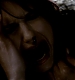 TVD_311.JPG