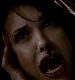 TVD_312.JPG