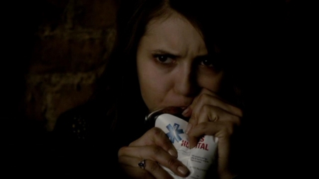 TVD_105.JPG