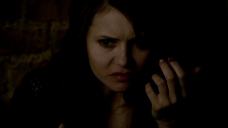 TVD_110.JPG