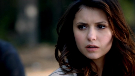 TVD_011.JPG