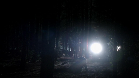 TVD_395.JPG