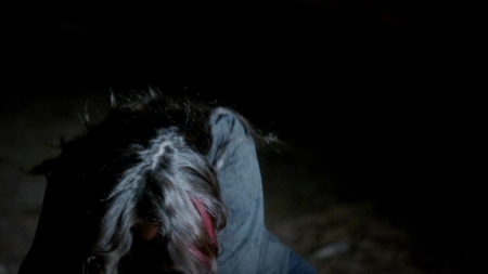 TVD_397.JPG