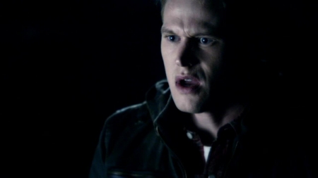 TVD_419.JPG