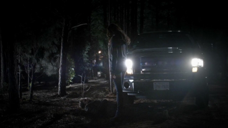 TVD_432.JPG
