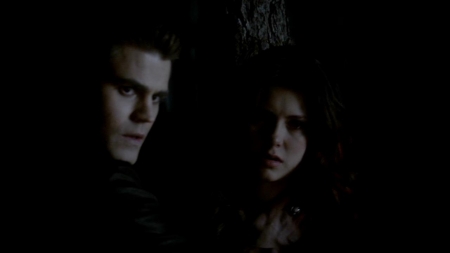 TVD_445.JPG