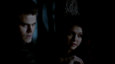 TVD_447.JPG