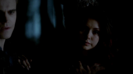 TVD_448.JPG