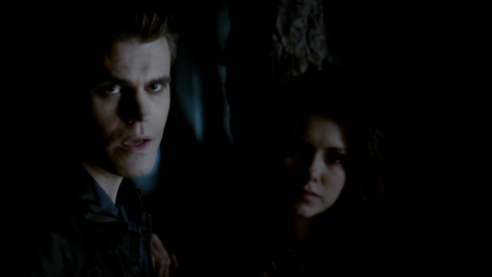 TVD_450.JPG