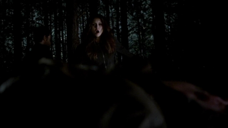 TVD_462.JPG