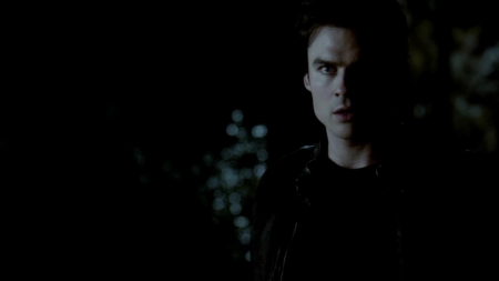 TVD_465.JPG