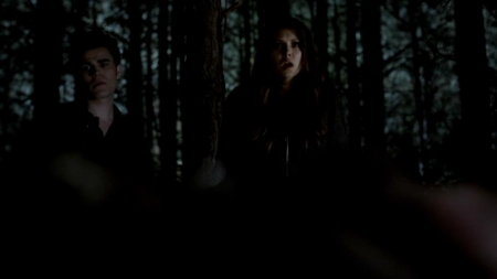 TVD_466.JPG