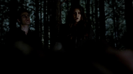 TVD_467.JPG