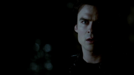 TVD_478.JPG